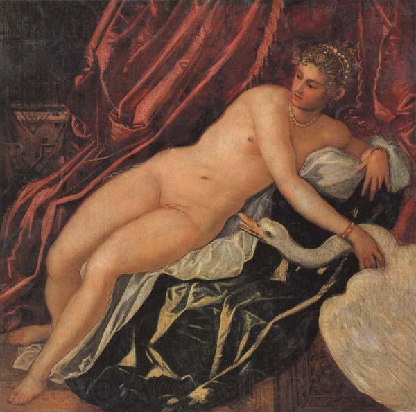 Jacopo Tintoretto Leda and the Swan Norge oil painting art